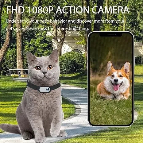 Cat Dog Collar Mini Outdoor Video Camera