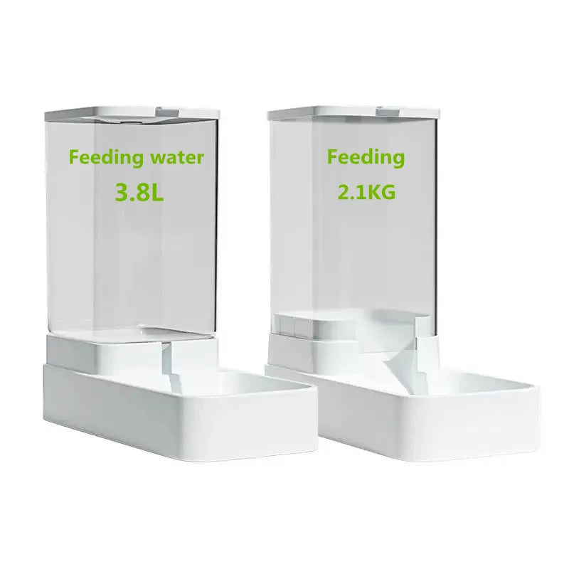 Automatic Transparent Pet Feeder