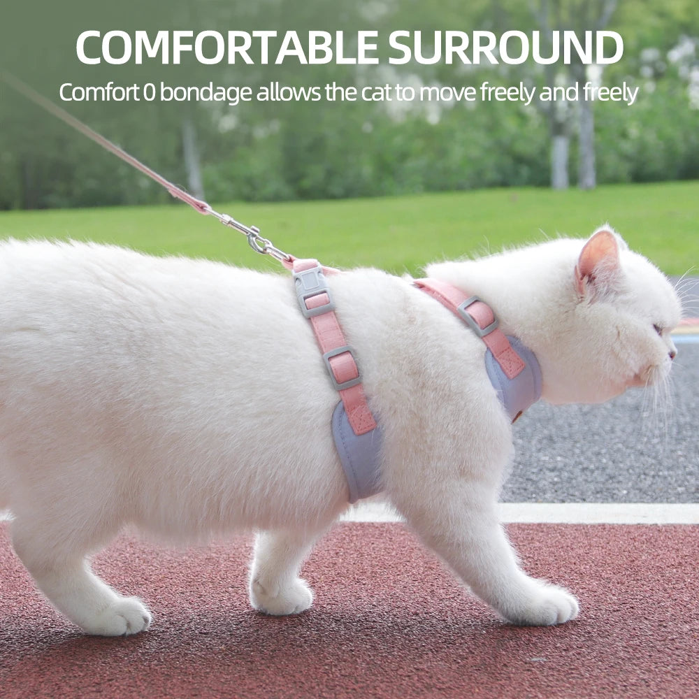 Cat and Dog Harness and Walking Supplies